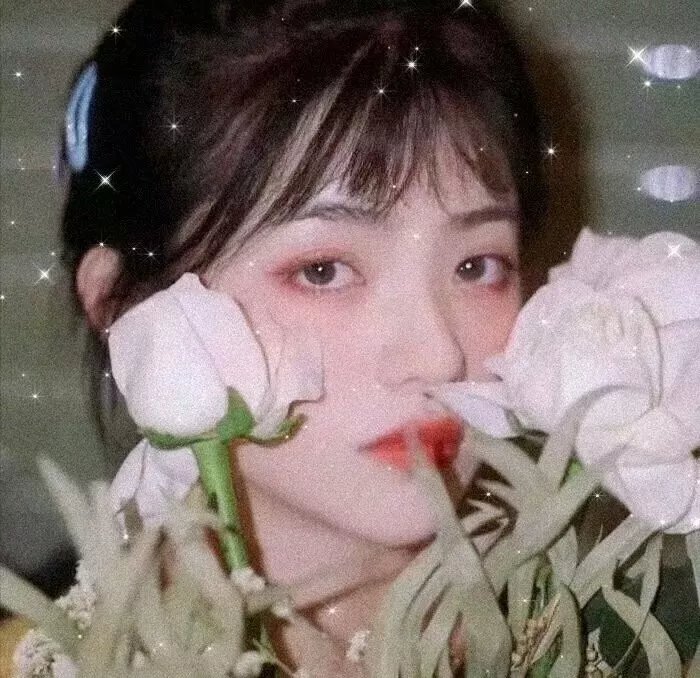 血玫瑰