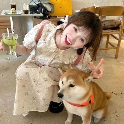 剧集版超能陆战队第二季